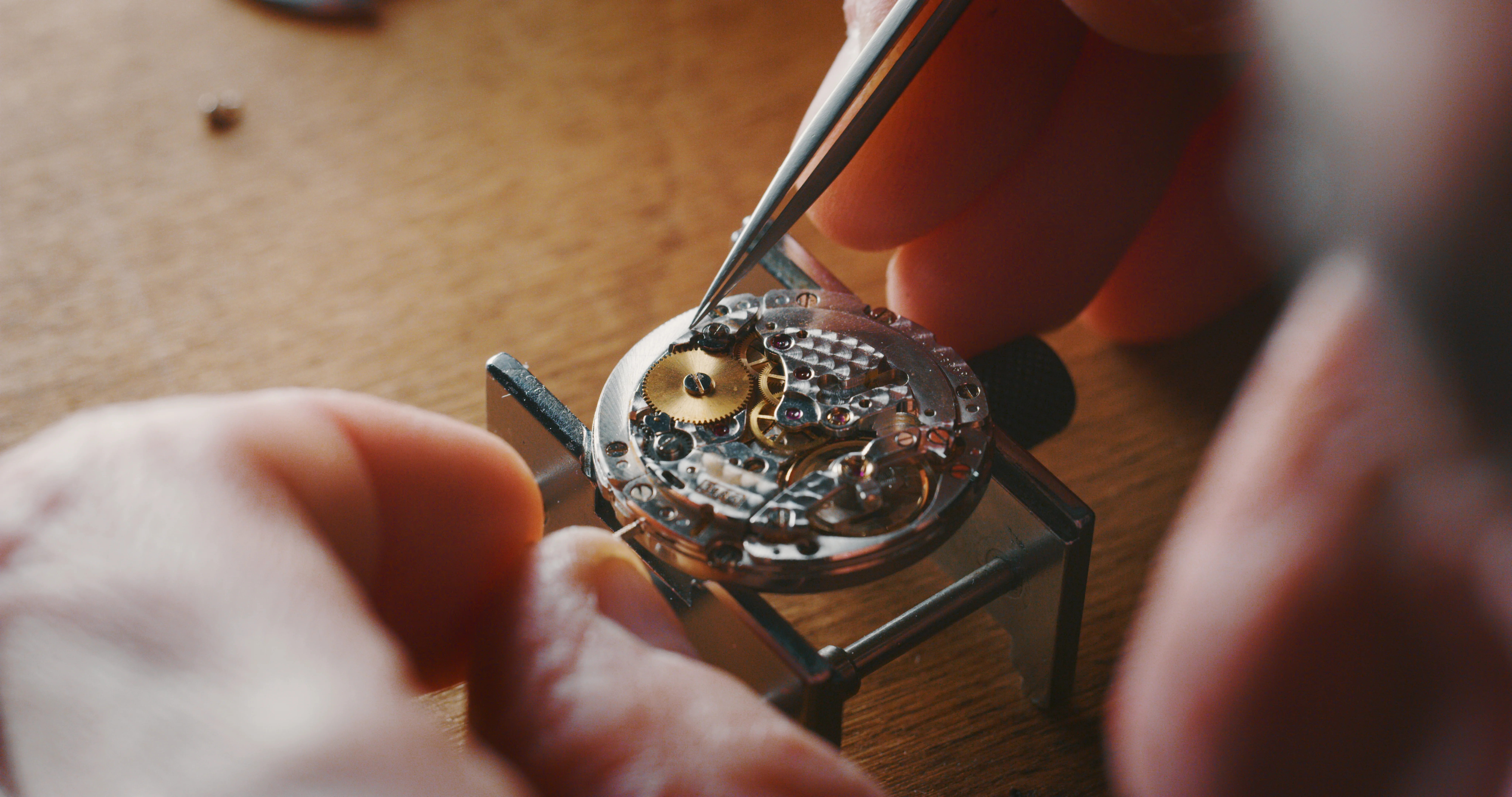 Example of Regulation Marking marking found on a watch — close-up identification photo